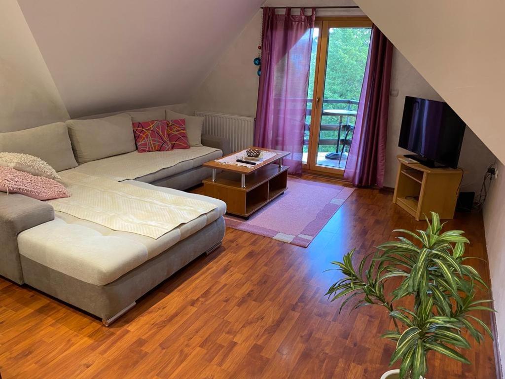 Apartments Vila Knez Zlatibor Room photo